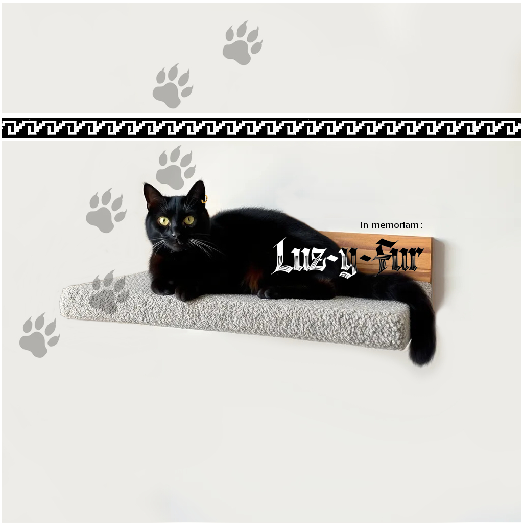 Wall Mounted Cat Shelves