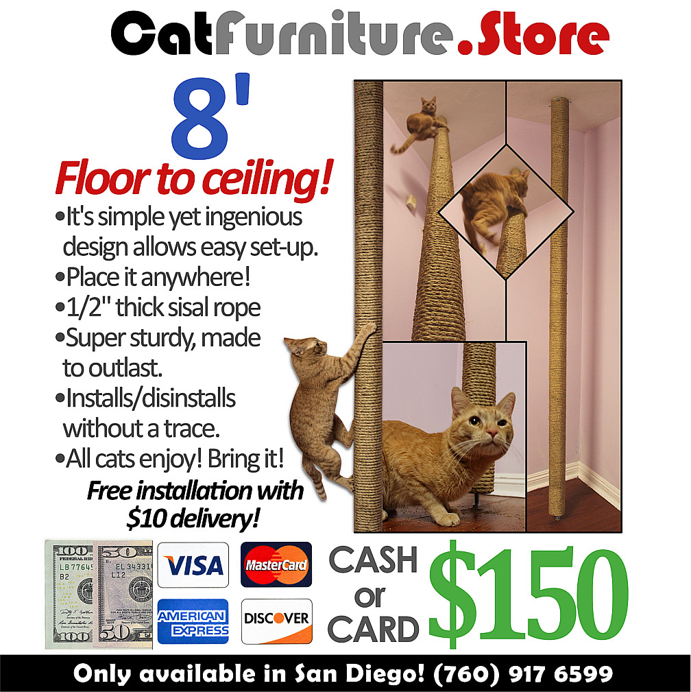 Cat Furniture Coming Soon